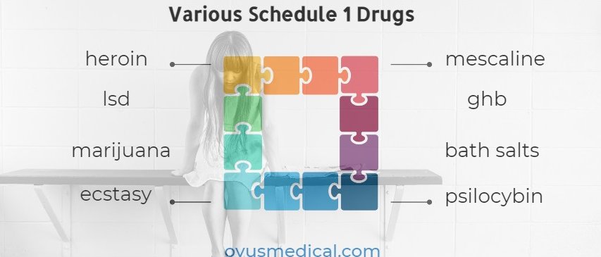Various Schedule 1 Drugs